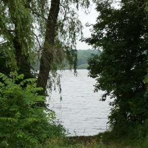 Meet your Posher, Pauline